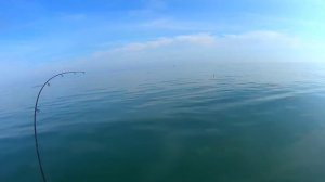 пилькер Торбелитта , ловля саргана в чёрном море.