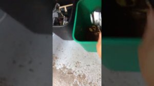 not grinding and adjusting properly - mazzer luigi srl - 3022 test