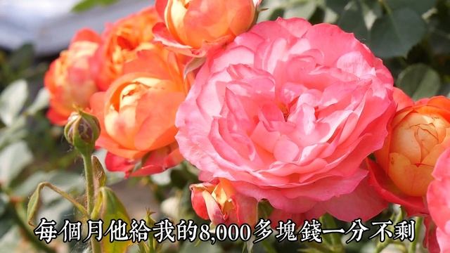 【乐厨怡妈】58歲阿姨哭訴：和再婚老伴同居後才明白，男人老了還要找老伴的原因 。 смотреть онлайн