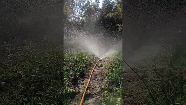 поливалка для грядок, ветрушки выбросил, теперь улитка смотреть онлайн