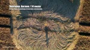 Круги на полях. Англия июль 2022 | Дайджест | Эксклюзив