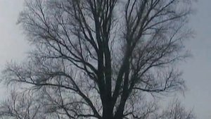 Красный Кут