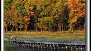 Велико-Анадольский лесной техникум