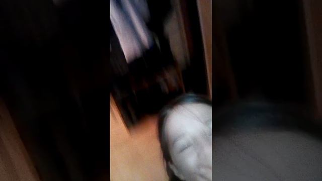 Собака дома Джек Рассел Терьер за 40тыс смотреть онлайн