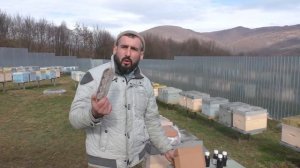 Картонные коробки для отправки пчеломаток