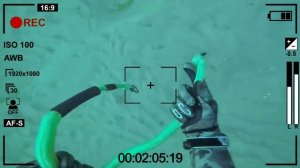 ?Необычные находки на глубине?️ Нашёл смартфон, много очков и разный хлам...