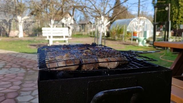 Шашлык на мангале из свиной вырезки ! Самое интересное в конце видео ! Наша собака и робот на кухне смотреть онлайн