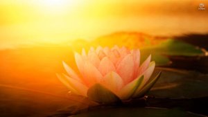 Декларация Счастья и Изобилия. Выберите счастливую и изобильную жизнь!