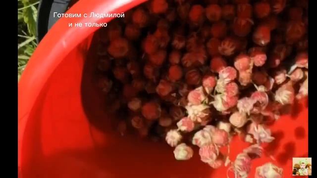 #Новинка Как сварить варенье из полевой клубники, сначала надо собрать и почистить,  пятиминутка.
