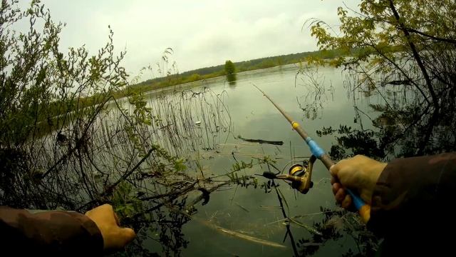 В ПОИСКАХ БЕЛОЙ РЫБЫ \ РЫБАЛКА С УДОЧКОЙ \ #Рыбалка #РыбалкаСудочкой #ВесенняяРыбалка
