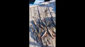 База "Глухая-2", август 2022, ХМАО-Югра