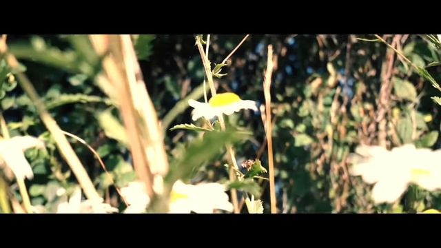 Sony nex 3n test смотреть онлайн