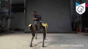 Танцующий робот Spot Mini от Boston Dynamics