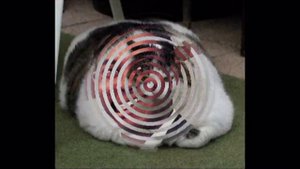 Рамиль - ты обнимаешь меня