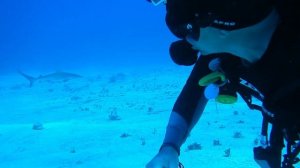 Cayo largo del sur Cuba