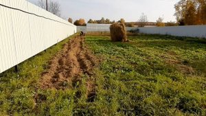 Осенняя запахивание соломы мотоблоком