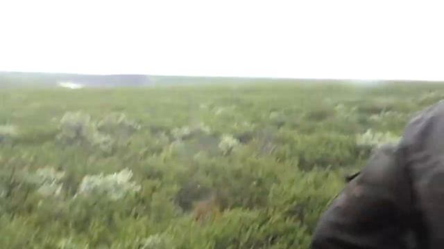 москиты-мутанты смотреть онлайн