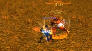 Не всё то паладин, что блестит! PvP Гайд по Паладину (Воздаяние, Защита) World Of Warcraft Zonom
