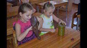 Родина педпроект, Здоровячок, Курск