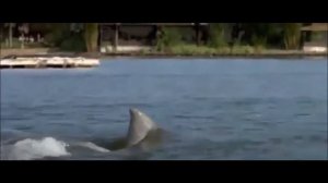 The Shark Scale: Jaws 3