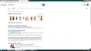 Anat-Vol 03-13  Pinterest_references