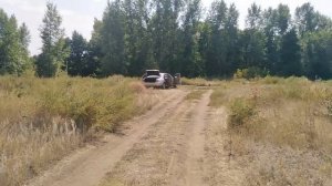 Замена штатной акустики Toyota Camry Gracia xv20 на DL AUDIO Gryphon lite 165 и Gryphon lite 69