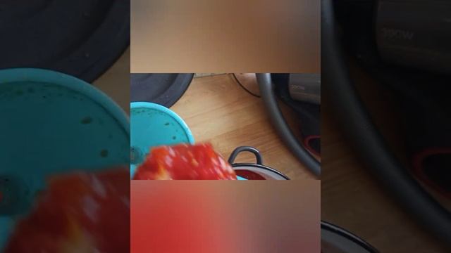 Чертополох на зиму