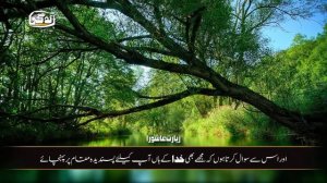 Ziyarat e Ashura by Ali Fani - with Urdu Translation - زیارتِ عاشورا علی فانی