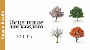 Исцеление для каждого, ч1. Карри Блейк