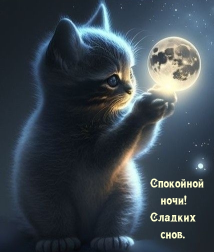 Спокойной ночи! Пускай этой ночью тебе приснятся только яркие и приятные сновидения