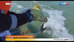 Погоня сотрудников рыбоохраны за браконьерами в Югре