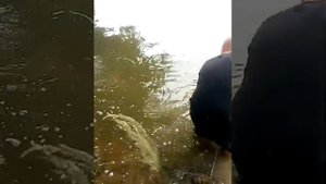 кемерово мамаевка