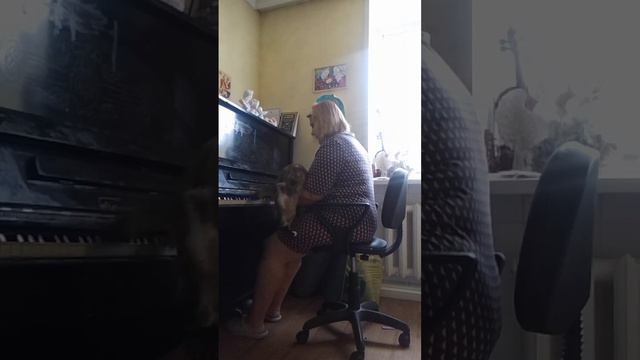 Дора Люкс. Музыка света. Экспромт 07.09.23(играет автор) #доралюкс #мелодиясвета #экспромт #doralux смотреть онлайн