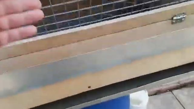 Брудер для индюшат. смотреть онлайн