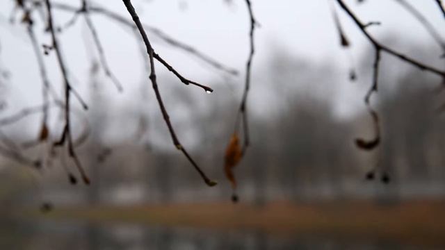 ПЯТИГЛАЗЫЕ ЧЕЛОВЕЧКИ [СТРАШНЫЕ ИСТОРИИ] смотреть онлайн