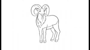 Как нарисовать Горного барана. Раскраска Горный баран для детей