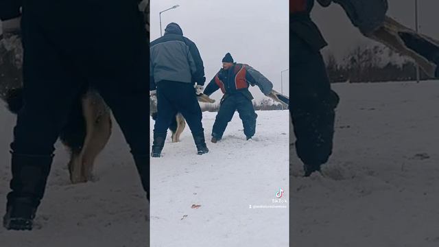 Хотошо.