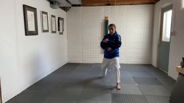 Self training 3 - imaginary opponent shotokan iskf