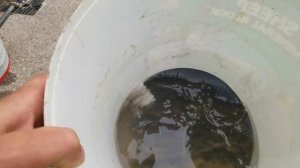 золото на пляже, черный шлих-золото как найти
