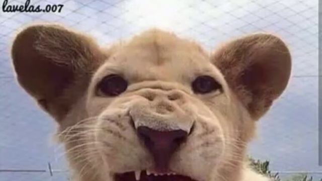 Самые красивые слова 😔🙏🏻 смотреть онлайн