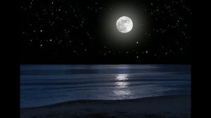 "СИНЯЯ ВЕЧНОСТЬ" (ремикс) - изп. Борислав Недев