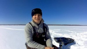 Берш на поставушки. Целая стратегия)) Советуем посмотреть