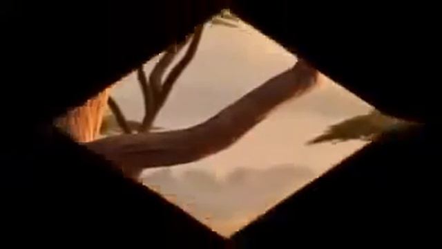 Толстые и смешные животные смотреть онлайн