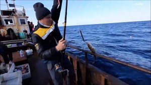 За треской на Баренцево море. Ура Губа.