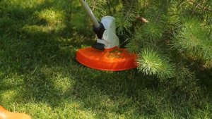 Мотокоса STIHL FSE 52