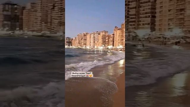 Mediterranean "Pearl" Alexandria Egypt 🇪🇬 😍 #Alexandria #TravelVlog