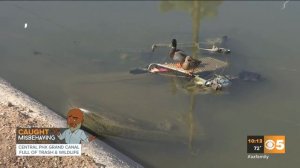 VIDEO: Central Phoenix Grand Canal full of trash and wildlife