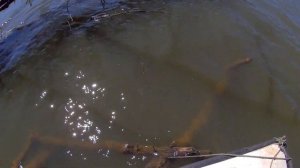 Рыбалка на КАРПА на БОКОВОЙ КИВОК!!! family fishing