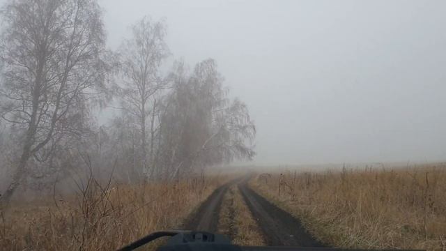 В лес за грибами.Три леса облазили в поисках опят. смотреть онлайн