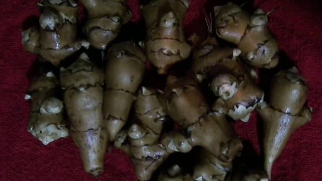 Из топинамбура можно варить кофе смотреть онлайн